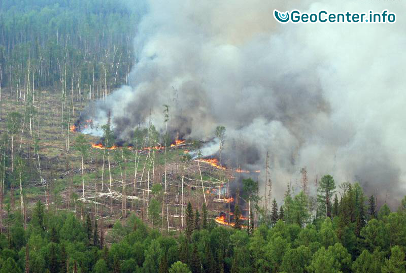 В Сибири полыхают лесные пожары