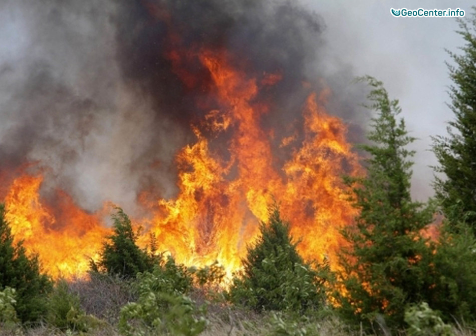 Лесные пожары на Ямале, Западная Сибирь