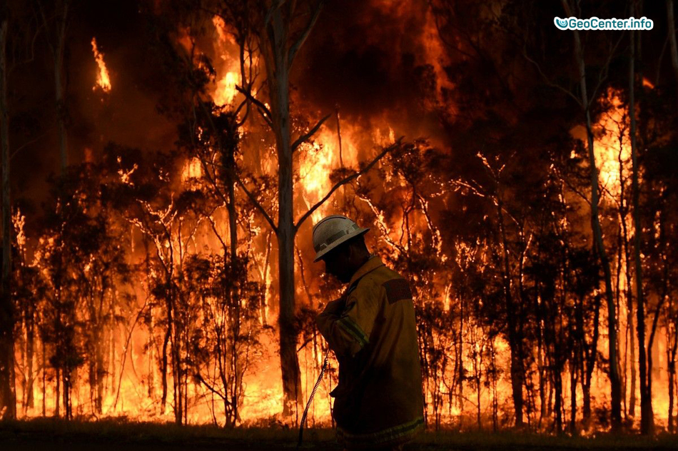 Буйство лесных пожаров в Алжире, август 2017 года