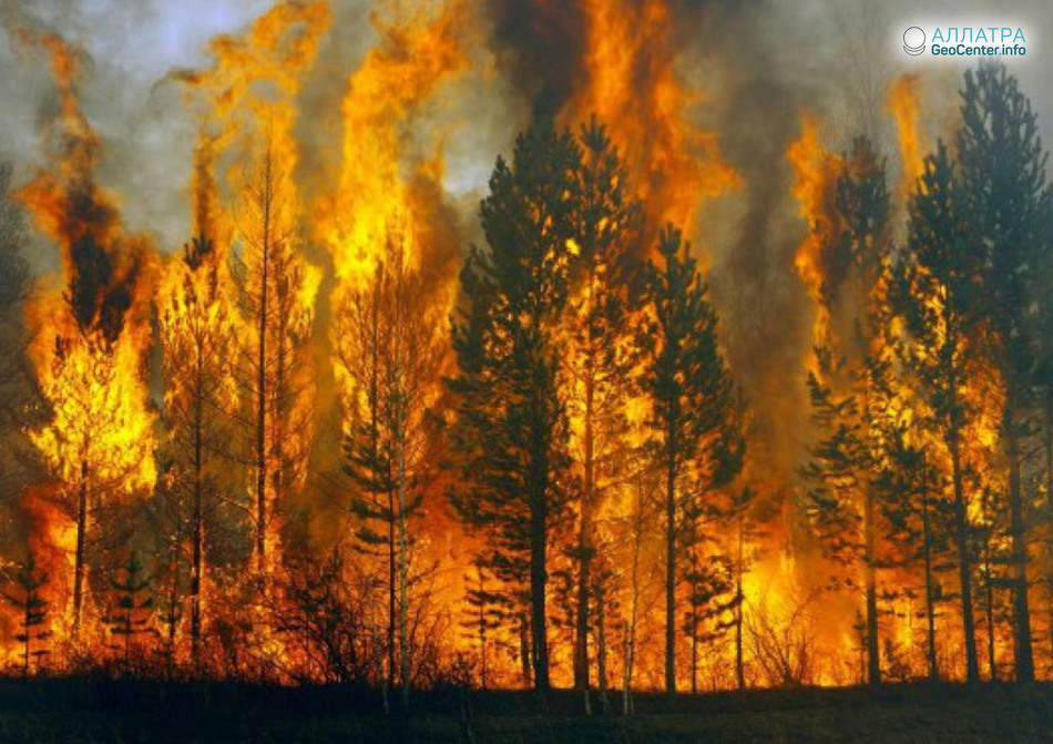Крупный лесной пожар в Курумканском районе Бурятии, 19-20 мая 2018 года