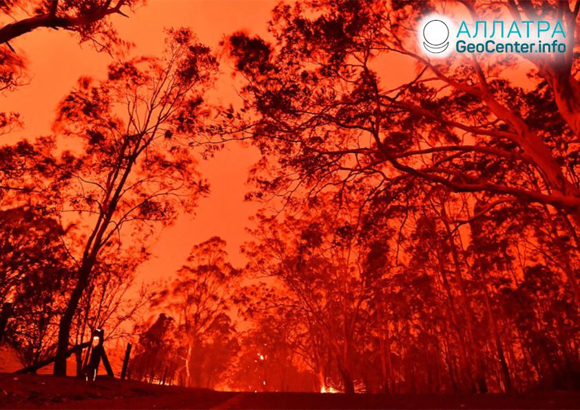 Аномальные пожары в Австралии, январь 2020