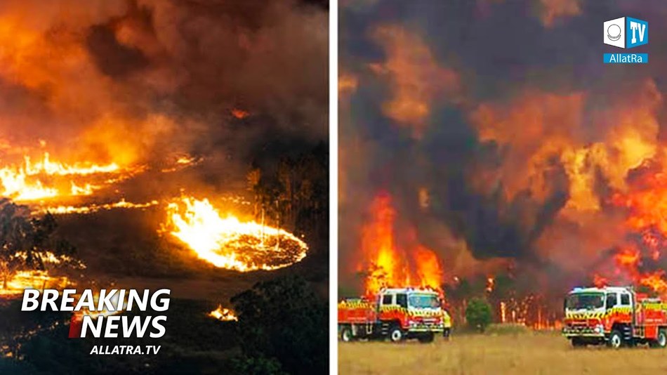 Australia fires destroy everything in their path. How can we help? Local's report | ALLATRA Climate