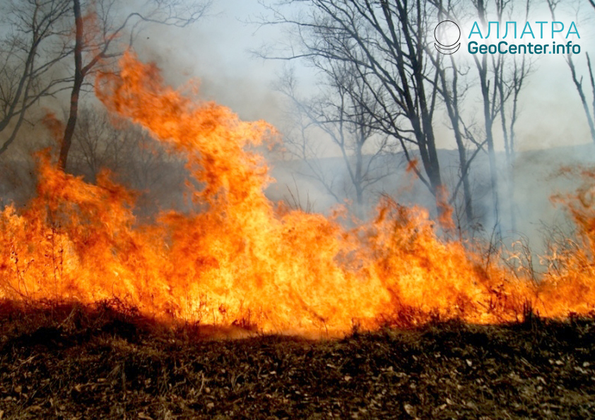 Лесные пожары в Приморье, апрель 2018