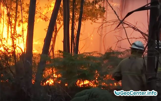 Лесные  пожары в Португалии, август 2017 года