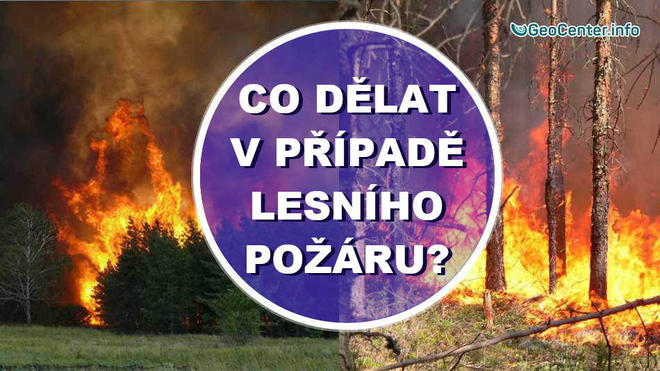 Co dělat v případě lesního požáru? Instrukce pro mimořádné situace