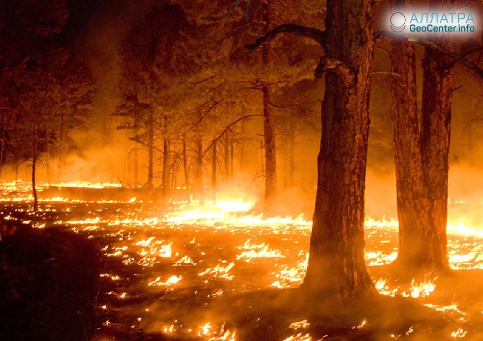 Лесной пожар в Оренбургской области, Россия, октябрь 2018 года