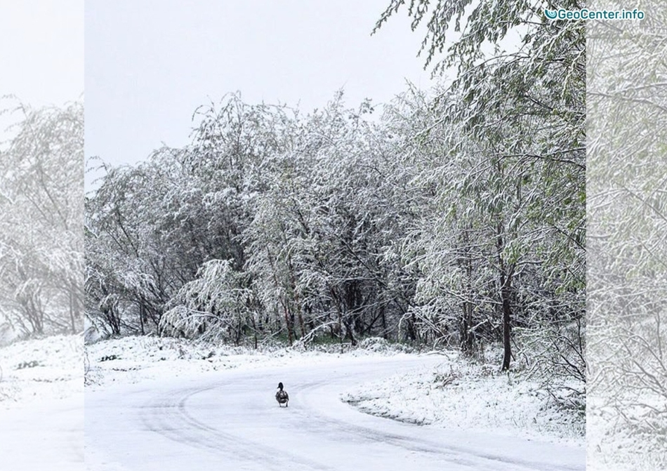 Снегопады в Мурманске, Россия