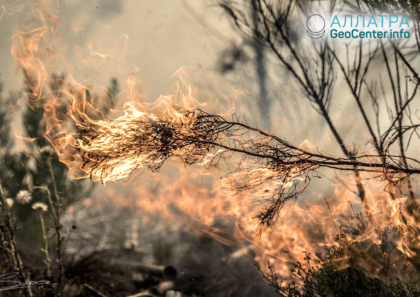 Природные пожары в ЮАР, ноябрь 2018