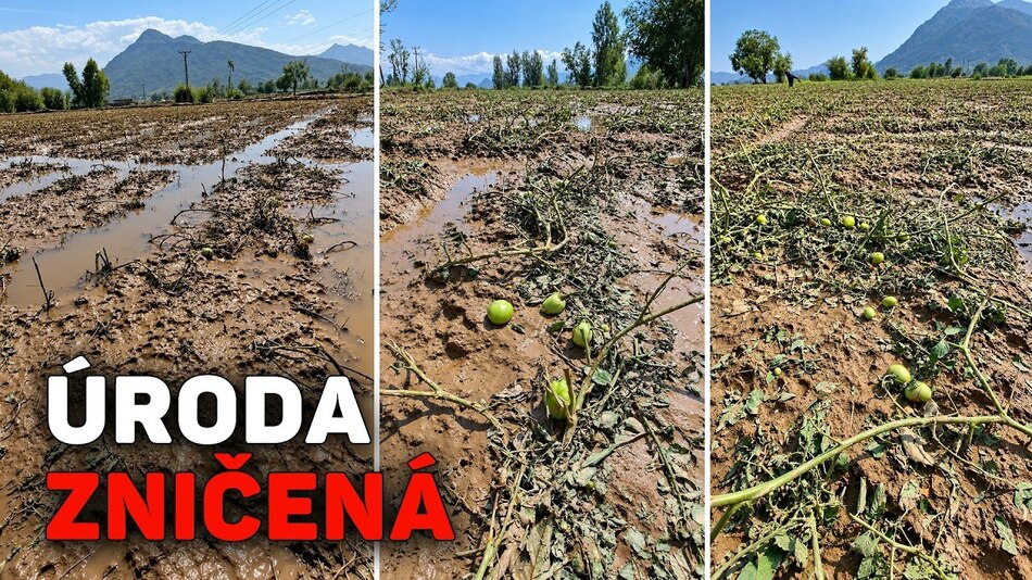 Globálna potravinová kríza: hlavné klimatické hrozby