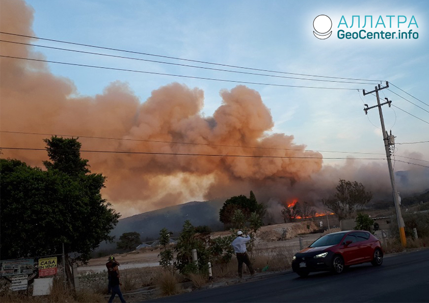 Природа в огне: лесные пожары в Мексике, май 2019