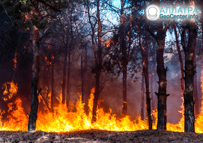 Лесной пожар в Чукотском округе, июль 2019