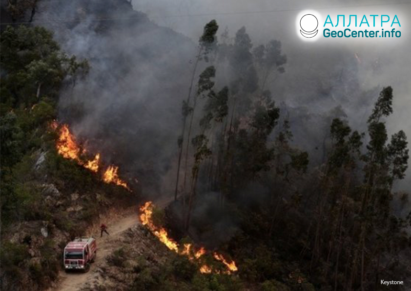 Лесной пожар в Португалии, июль 2019