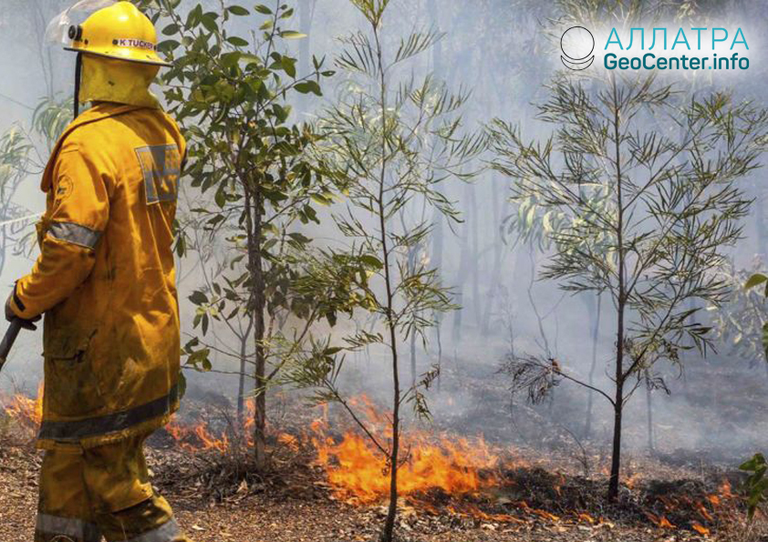 Lesné požiare v Austrálii, marec 2019