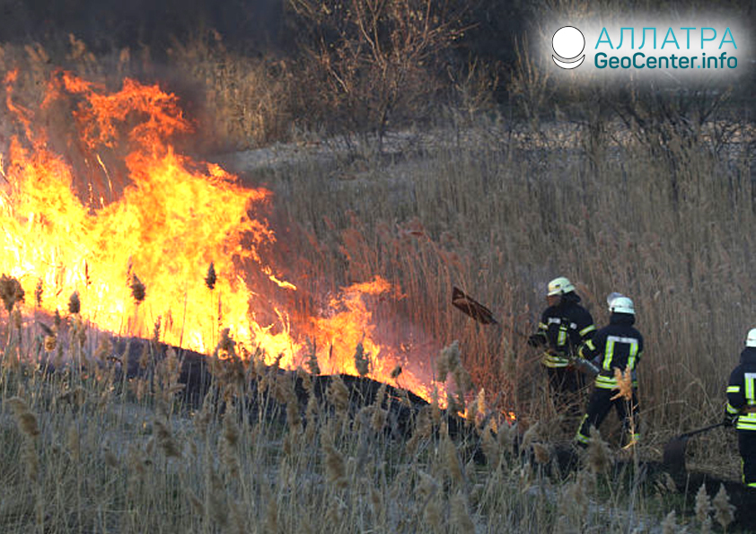 Лесные пожары в Иркутской области, май 2019
