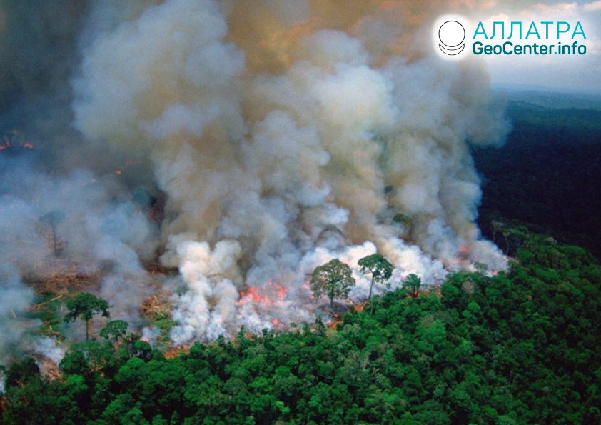 Лесные пожары в лесах Амазонки, август 2019