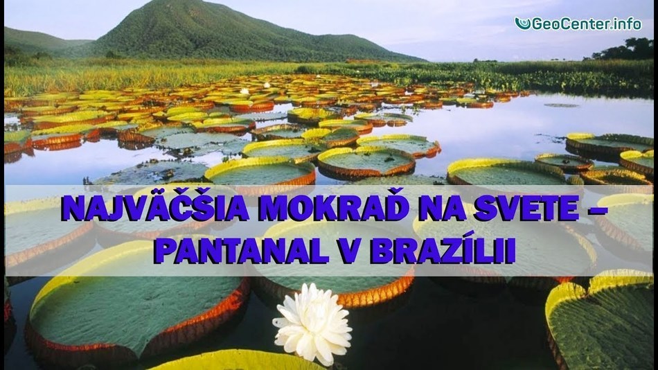 Najväčšia mokraď na svete – Pantanal v Brazílii. Anomálne počasie. 94 vydanie