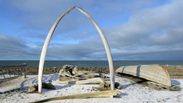 Climate change in the Arctic disrupts computer algorithms