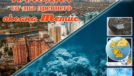 Находка со дна древнего океана Тетис: морская лилия или чип с закодированным посланием