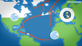 Влияние Гольфстрима на климатические изменения