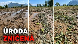 Globálna potravinová kríza: hlavné klimatické hrozby