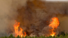 Лесные пожары в странах Европы, август 2023