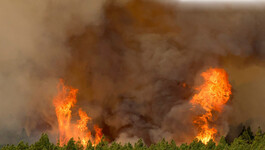 Lesné požiare v Európe, august 2023