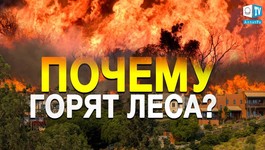 Почему не удаётся погасить лесные пожары? Озоновые дыры и их разрушающее действие