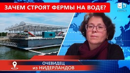 Продовольственный кризис близко? Резкое изменение климата. Отзыв очевидца из Нидерландов