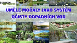 Dych života. Umělé močály jako systém očisty odpadních vod. Mýtus nebo realita?