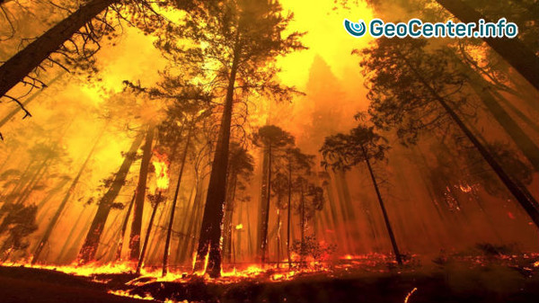 Сильные лесные пожары в Аргентине
