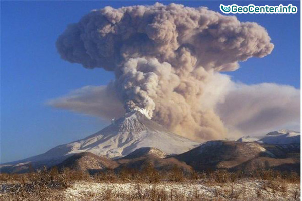 Два выброса пепла произошли на вулкане Шивелуч