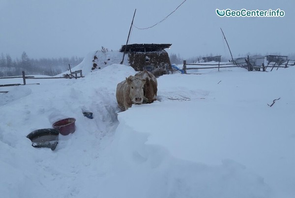 Двухметровые сугробы в Якутии