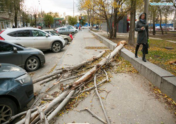 Ураган &quot;Гриша&quot; в Волгограде