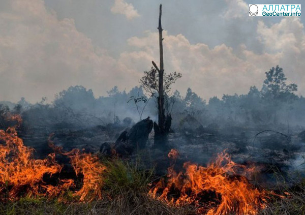 Природные пожары в Индонезии, февраль 2018 г.