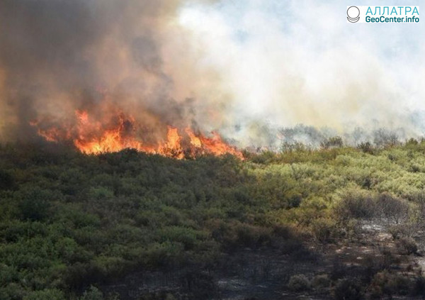 В аргентинской провинции Ла-Пампа с начала февраля вспыхивают природные пожары, февраль 2018 г.