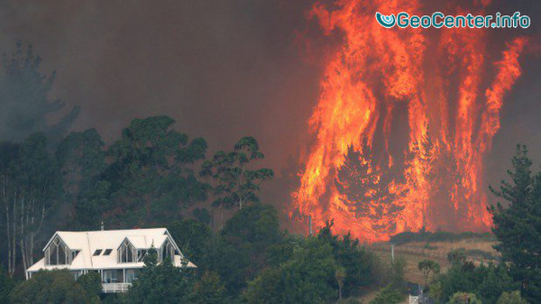 ​На острове Южный в Новой Зеландии возникли сильные лесные пожары