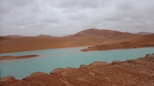 Оазисы в  одном из самых сухих мест на земле