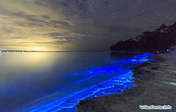 Чудеса природы: биолюминесценция у берегов Австралии, март 2017 года