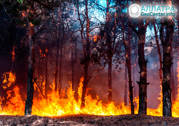 Lesní požár v Čukotském okruhu, červenec 2019