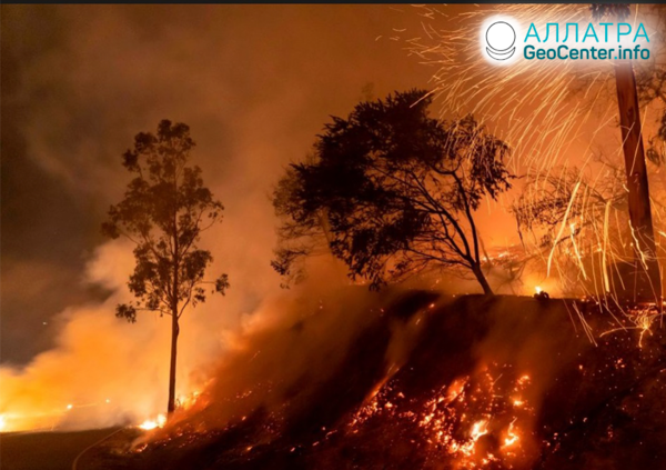 Лесной пожар в Калифорнии, США, ноябрь 2019