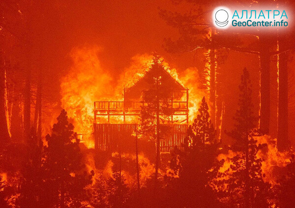 Лесные пожары, конец августа 2021