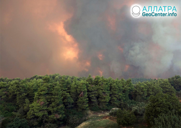 Lesné požiare v Grécku, august 2019