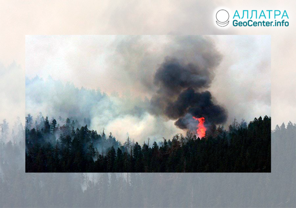 Масштабные лесные пожары, конец мая 2021