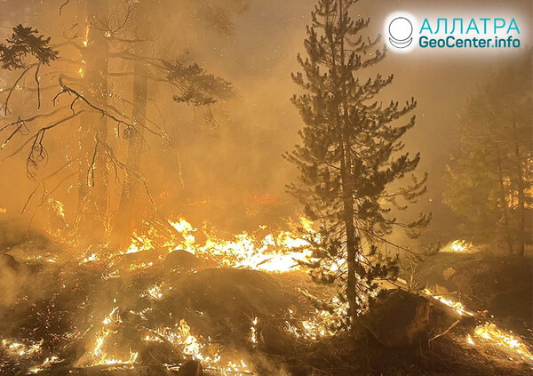 Опасные лесные пожары на Земле, июль 2021