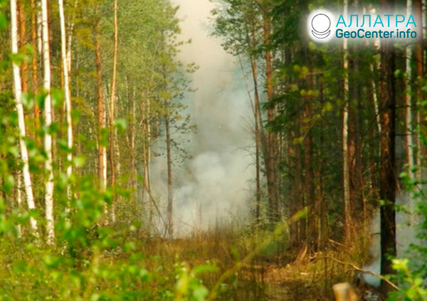 Пожары в Иркутской области, июль 2019