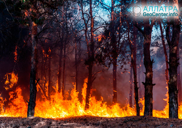 Přírodní požáry v Zabajkalsku, duben 2019