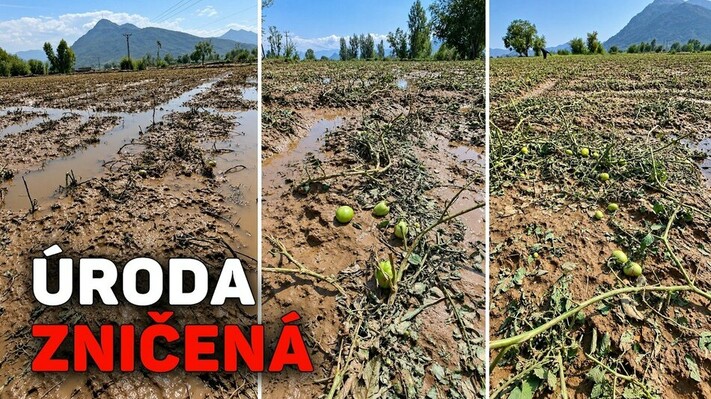 Globálna potravinová kríza: hlavné klimatické hrozby